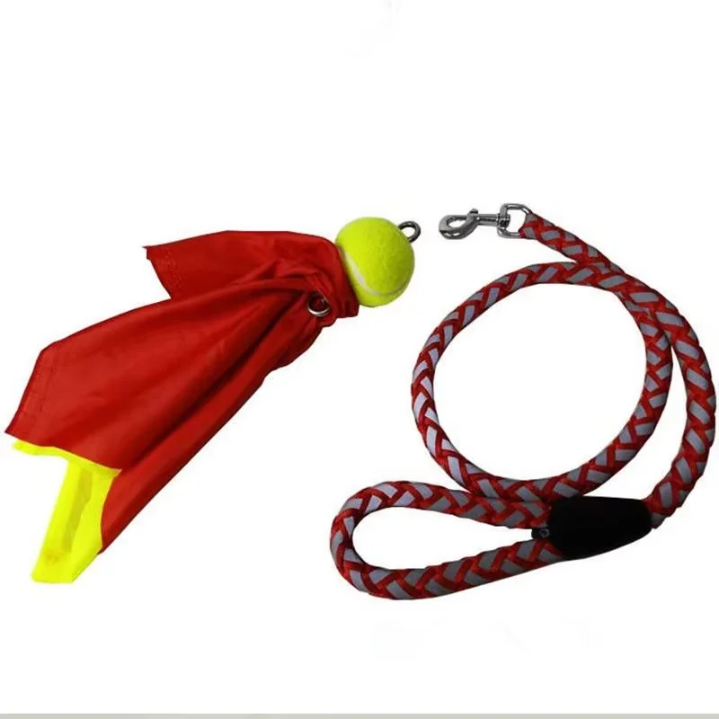 Accesorio de Danza del Dragón  - Outdoor Sport Festival reseña y precio